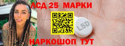 шишки Аргун