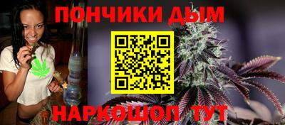 шишки Аргун