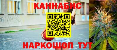 шишки Аргун