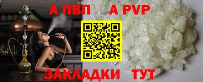 шишки Аргун