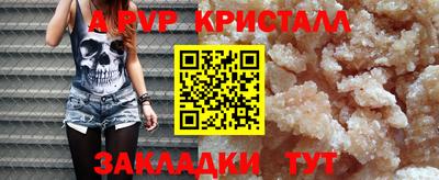 шишки Аргун