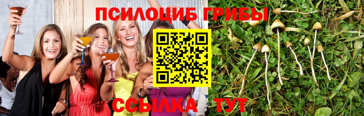 Псилоцибиновые грибы прущие грибы Верхняя Салда
